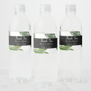 Rótulo De Garrafa De Vinho Folha de Monstera Adansonii Aquarela à Mão para No
