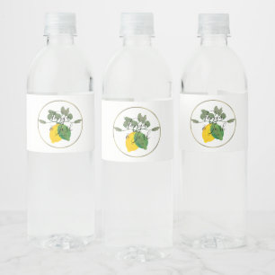 Rótulo De Garrafa De Vinho Limão Limão Limoncillo de Aquarela