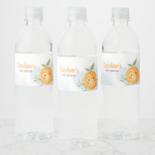 Rótulo De Garrafa De Vinho Menino Pequeno Fofinho Laranja Baby Shower