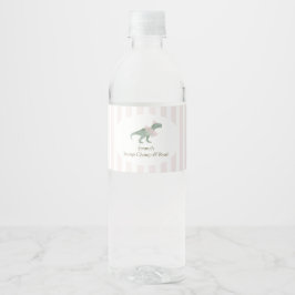 Rótulo De Garrafa De Vinho Pink T Rex Tutu Girl Birthday Water Bottle Labels