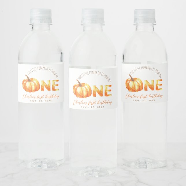 Rótulo De Garrafa De Vinho Primeiro Aniversário, Nossa Pequena Abóbora Está V (Garrafas)