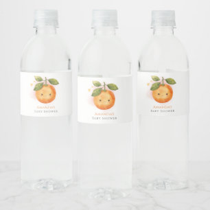 Rótulo De Garrafa De Vinho Um Pequeno Chá de fraldas De Clementina Laranja