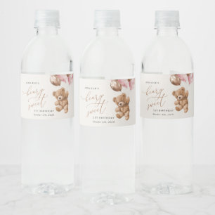 Rótulo De Garrafa De Vinho Urso de Teddy, Balões Rosa, Primeiro Aniversário