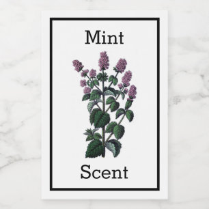 Rótulo de Mint Antiguo