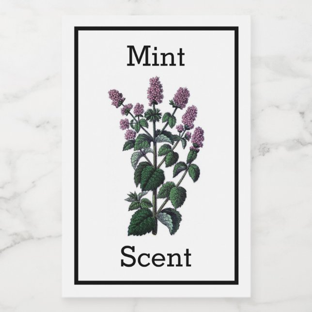 Rótulo de Mint Antiguo (Rótulo Único)