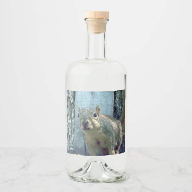 Rótulo do Frasco de Esquilo (Frente)