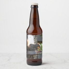 Rótulo do Frasco de Esquilo