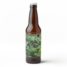 Rótulo do Frasco do Wasp