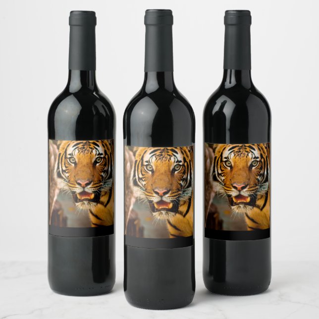 Rótulo do vinho Tigre (Garrafas)