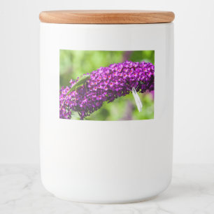 Rótulo Para Comida energia katydid