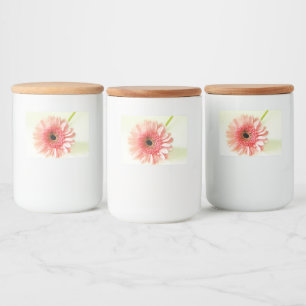 Rótulo Para Comida Gerbera Daisy Pinback Button