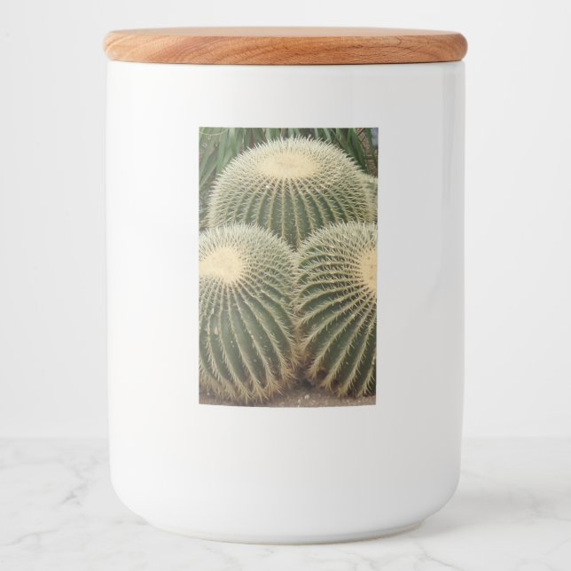 Rótulo Para Comida Rótulo do Contentor de Comida do Cactus Verde (Frente)