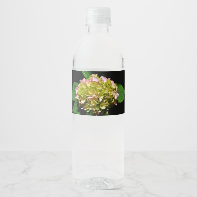 Rótulo Para Garrafa D'água Hídrangas florais cor-de-rosa-verde-esverdeado Ele (Frente)