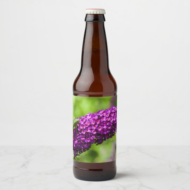 Rótulo Para Garrafa De Cerveja energia do katydid (Frente)