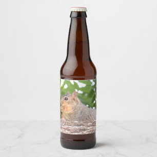 Rótulo Para Garrafa De Cerveja Esquilo