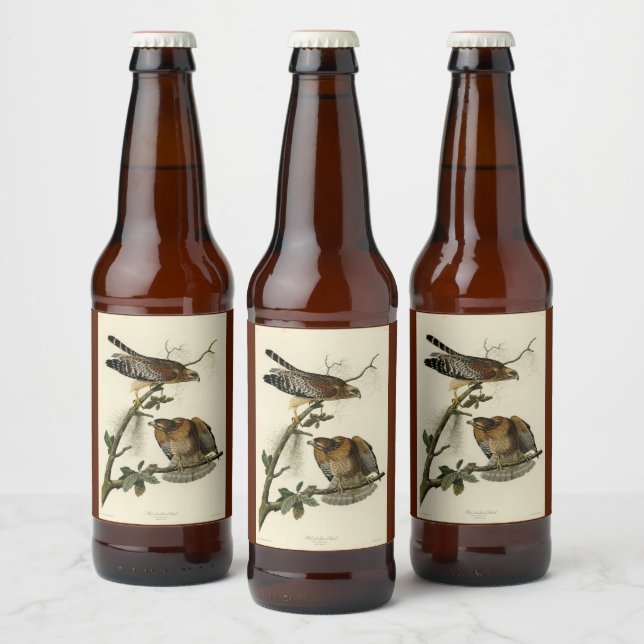 Rótulo Para Garrafa De Cerveja Falcão de ombros vermelhos - Aves da América de Au (Garrafas)