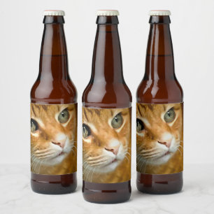 Rótulo Para Garrafa De Cerveja Ginger Tabby Cat Posicionando Retrato