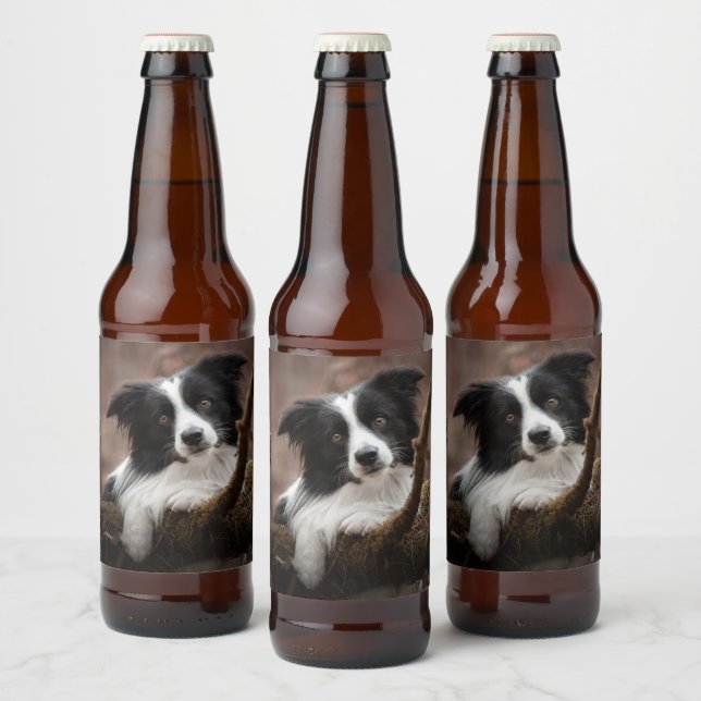 Rótulo Para Garrafa De Cerveja Impressionante Retrato Collie de Borda (Garrafas)