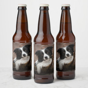Rótulo Para Garrafa De Cerveja Retrato de Collie de Borda Incrível