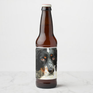 Rótulo Para Garrafa De Cerveja Setter Brew