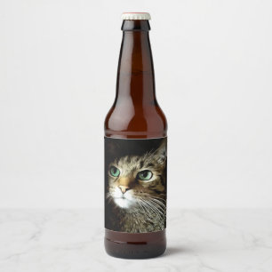 Rótulo Para Garrafa De Cerveja Tabby Cat Com Olhos Verdes Isolados Em Preto