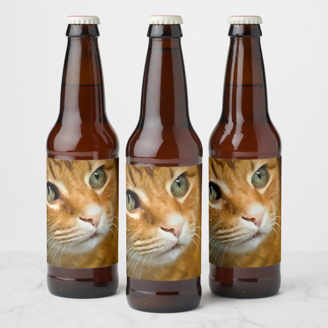 Rótulo Para Garrafa De Cerveja Tabby Ginger Adorável Posicionando Retrato Pet (Garrafas)