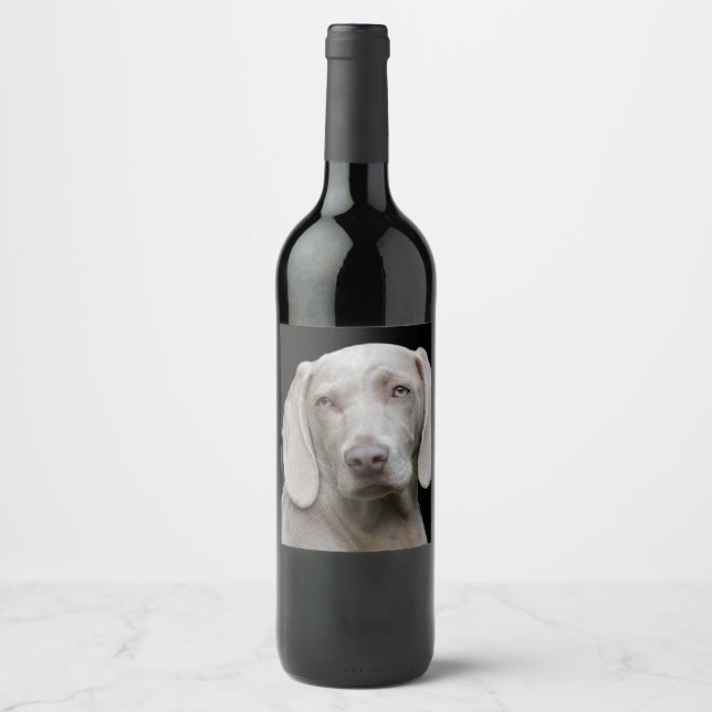 Rótulo Para Garrafa De Vinho Cinzas de Prata do Weimaraner (Frente)