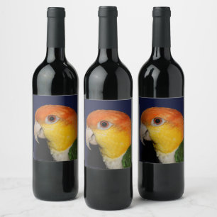 Rótulo Para Garrafa De Vinho Colorida Caique Parrot