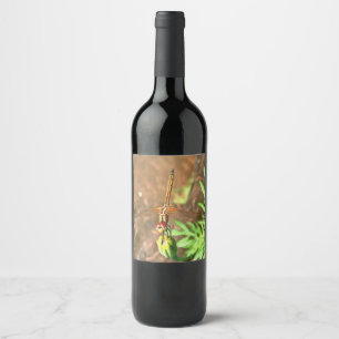 Rótulo Para Garrafa De Vinho Dragonfly Artística Descendo Sobre Uma Cabeça De
