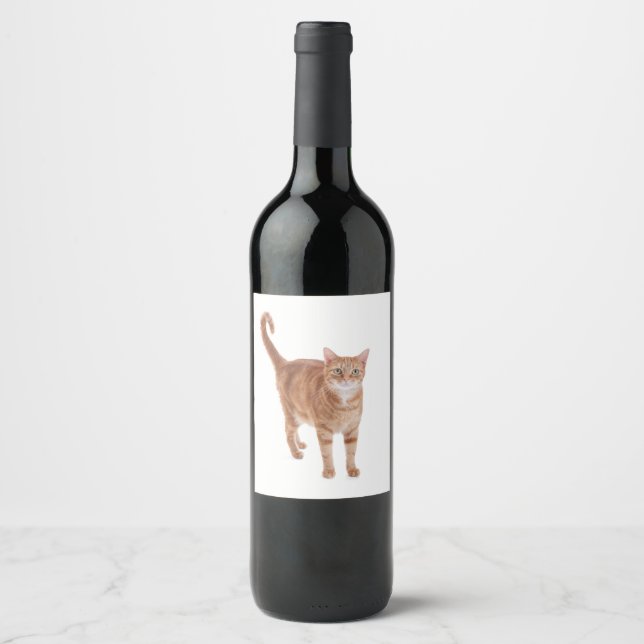 Rótulo Para Garrafa De Vinho Orange Tabby Cat (Frente)
