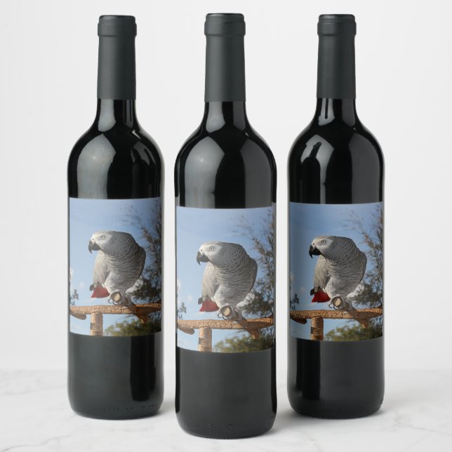 Rótulo Para Garrafa De Vinho Papagaio-Cinza africano espantoso (Garrafas)
