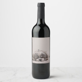 Rótulo Para Garrafa De Vinho Shitzu Sleeping Wine Label, Cão Dormindo