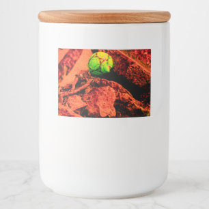 Rótulos Para Comida explorador de mosquitos