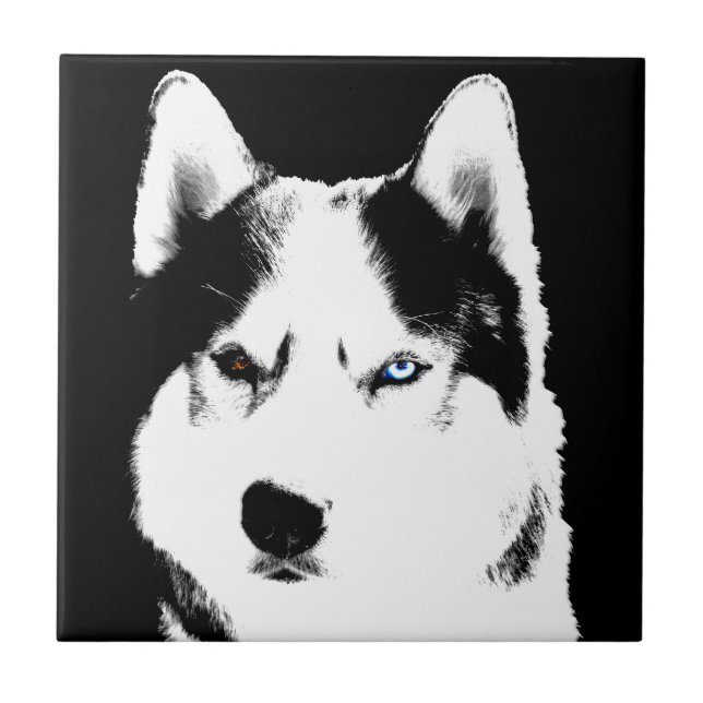 Rouco Dog Art Cerâmica Azulejo Malamute Wolf Dog G (Frente)