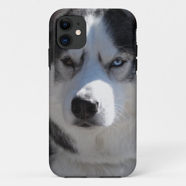 Rouco Dog capas de iphone Rouco Malamute Pup Capas (Verso)