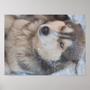 Rouco poster