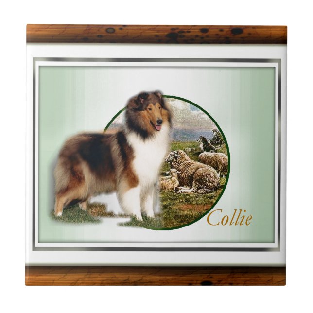 Rough Collie Keeper da ovelha (Frente)