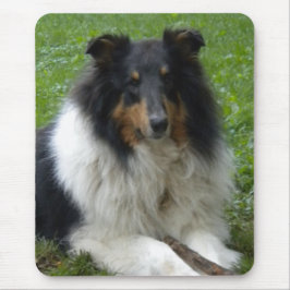 Rough Collie Mouse pad