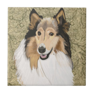 Rough Collie Portrait