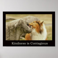 Rough Collie Poster " Bondade é Contagiosa"