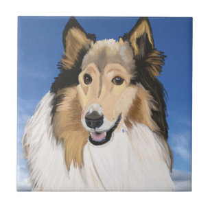 Rough Collie Retrato contra o céu azul