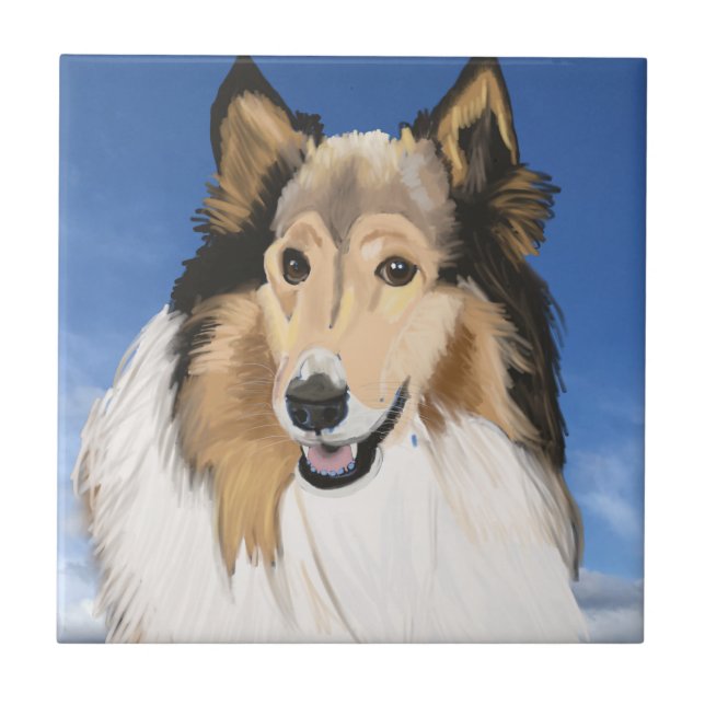 Rough Collie Retrato contra o céu azul (Frente)