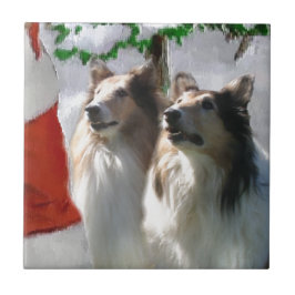 Rough Collies Reúne Papais noeis Natal