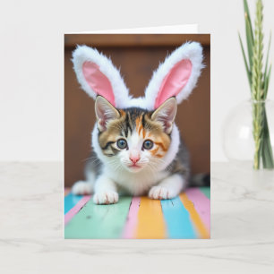 Roupa de Gatinho Fofo Cartão de Pet