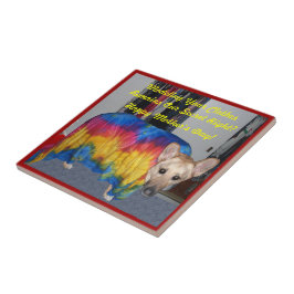 Roupas de modelagem de dias de as mães