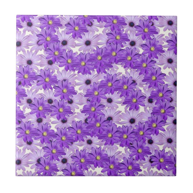 Roxo Daisy Swirls (Frente)