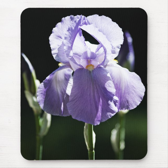 Roxo Iris 8393 Mousepad (Frente)