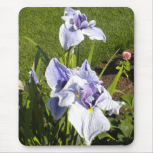 Roxo Iris Mousepad