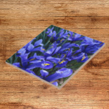 Roxo Reticulado Irrita Floral