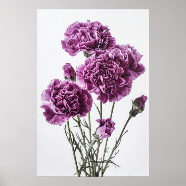Roxos Carnações Flores Impressão (Frente)